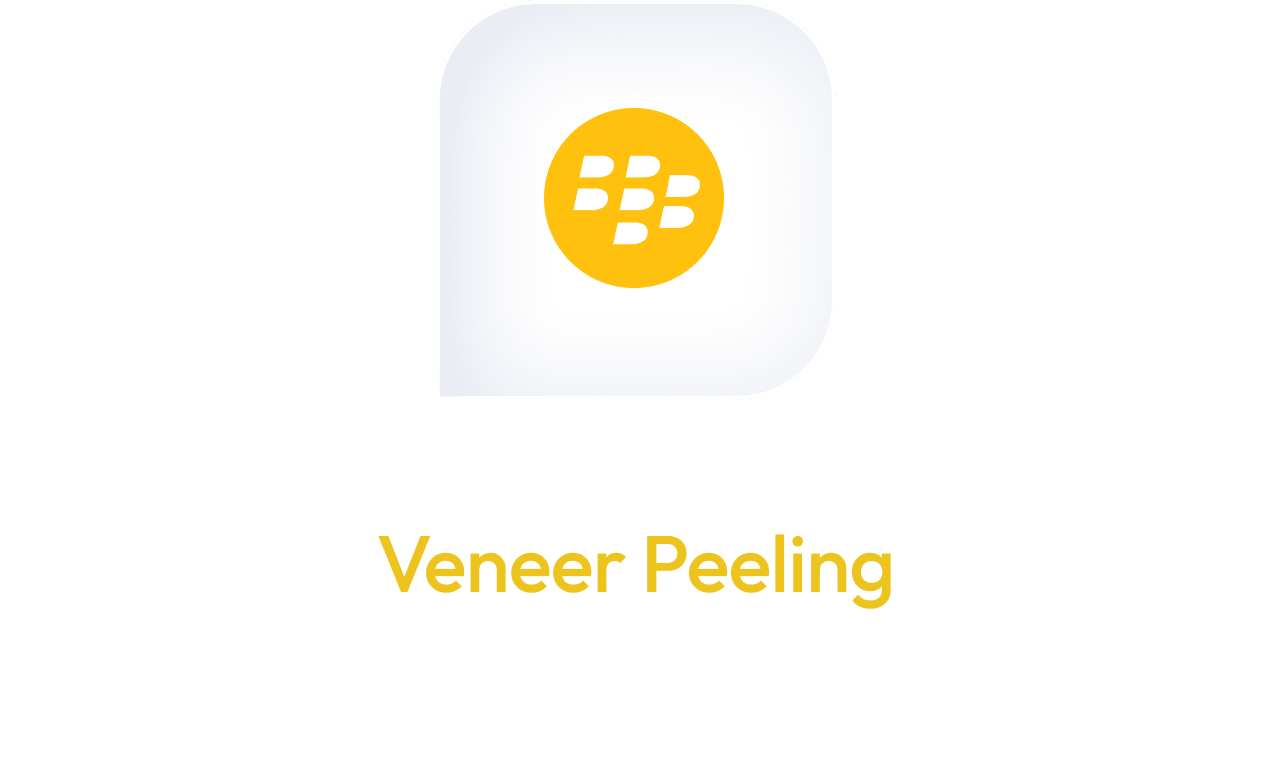 Frame 1707479283